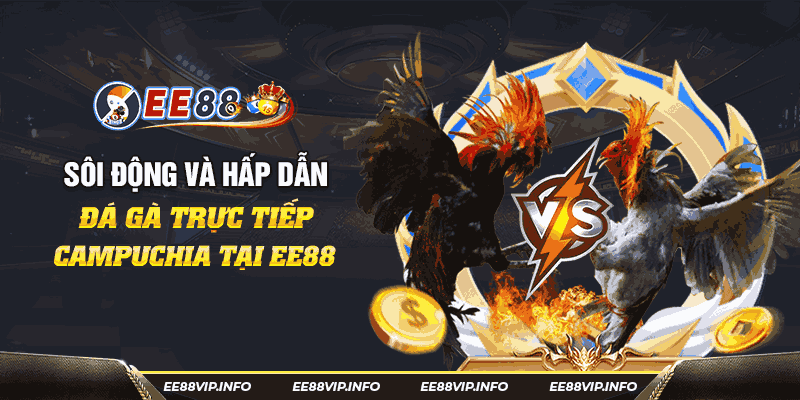 Đá Gà Trực Tiếp Campuchia - Trải Nghiệm Đỉnh Cao