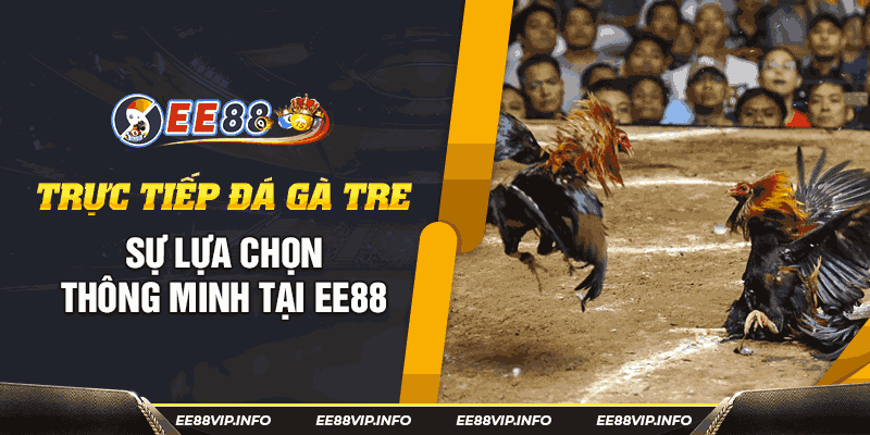 Xem Trực Tiếp Đá Gà Tre Hấp Dẫn - Kịch Tính Tại EE88