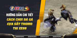 Trực Tiếp Đá Gà Cựa Sắt Thomo - Đỉnh Cao Cá Cược Tại EE88