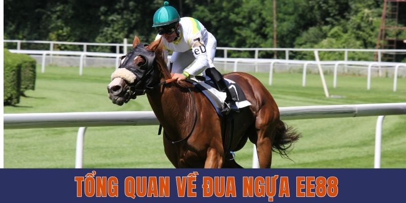 Đua Ngựa EE88 - Bộ Môn Giải Trí Mới Lạ Và Nhiều Hấp Dẫn Tổng quan về đua ngựa EE88