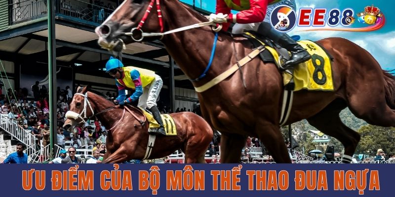 Đua Ngựa EE88 - Bộ Môn Giải Trí Mới Lạ Và Nhiều Hấp Dẫn Ưu điểm của bộ môn thể thao đua ngựa