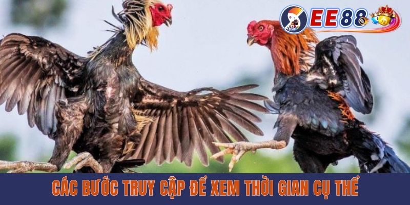 Xem Lịch Đá Gà Theo Ngày - Cập Nhật Nhanh Từng Giải Đấu Các bước truy cập để xem thời gian cụ thể