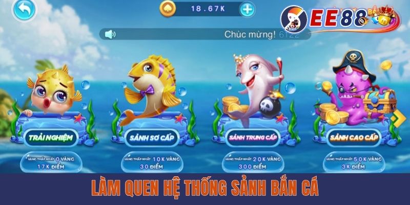 Làm quen hệ thống sảnh bắn cá